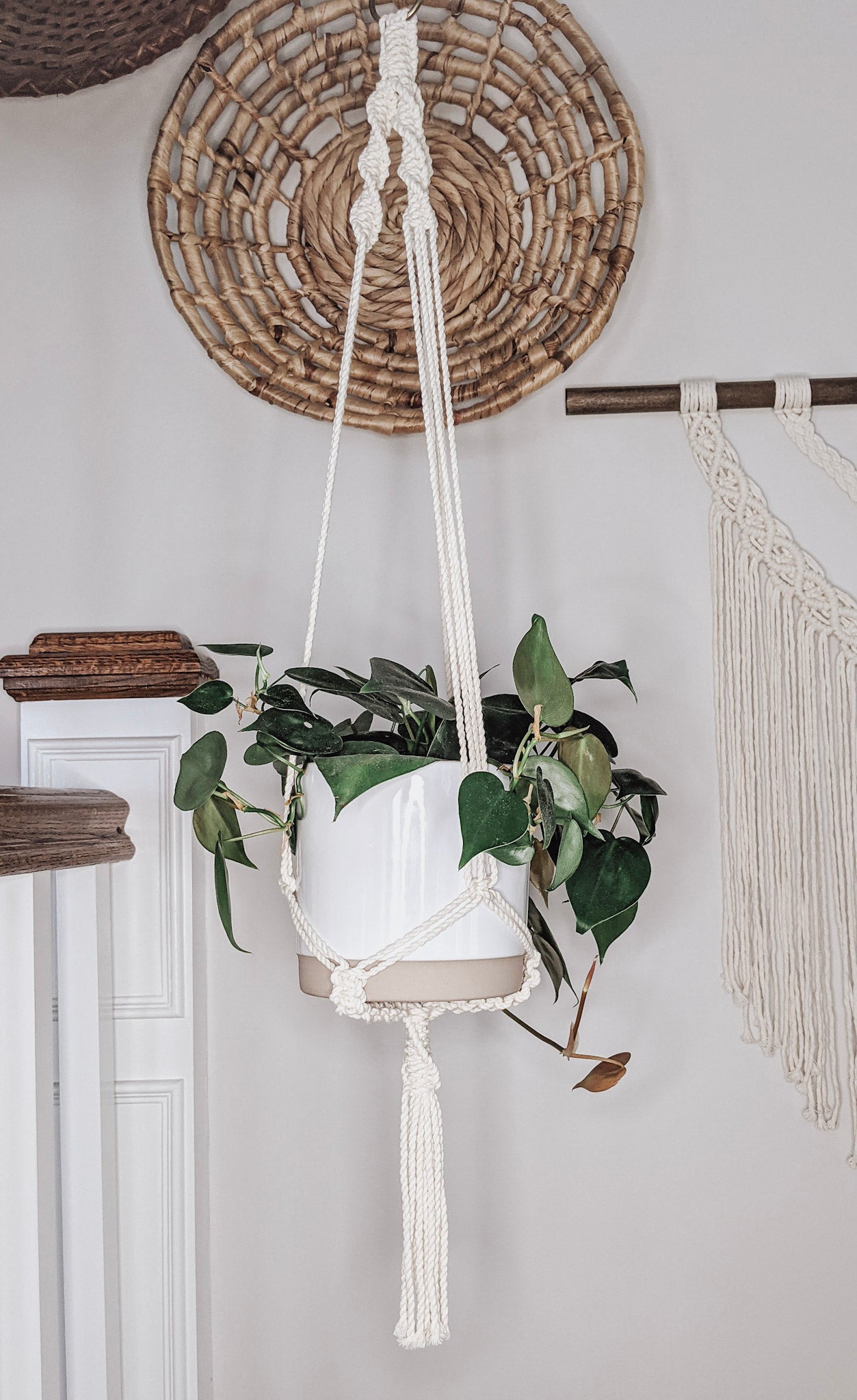 Minimalist Macrame Plant Hanger